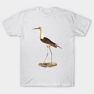 Stork T-Shirt